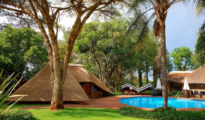 Our Pool Area in Newcastle, KwaZulu-Natal, South Africa