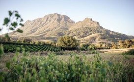 Le Pommier Wine Estate image