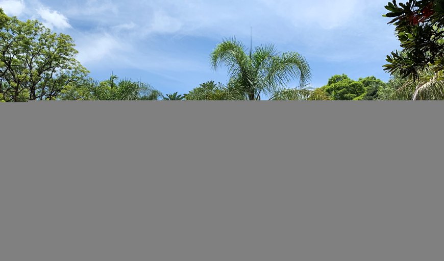 View of our main house hidden in the lush vegetation