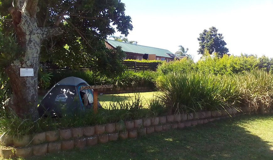 Campsites: View of Camp Area