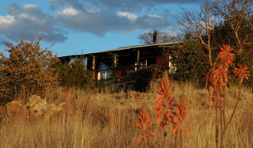 Stonechat cottage: Stonechat Cottage