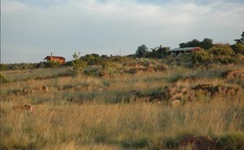 Veldflora Country Cottages image