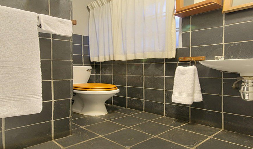 Double Room 7: single with 3/4 bed - En-suite bathroom