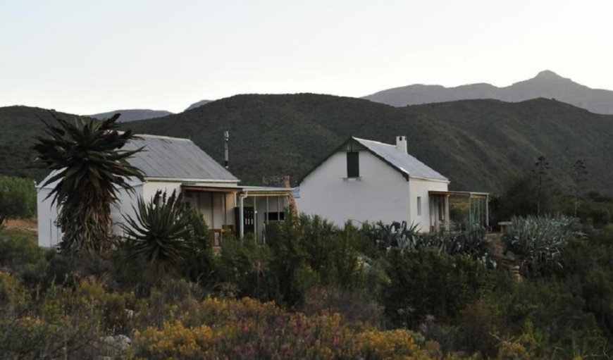 Welcome to Matjiesvlei Guest Farm! in Calitzdorp, Western Cape, South Africa
