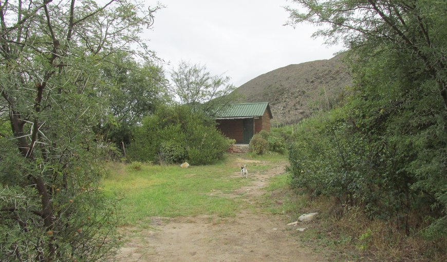 One-Bedroom Aloe Cottage: Aloe Cottage