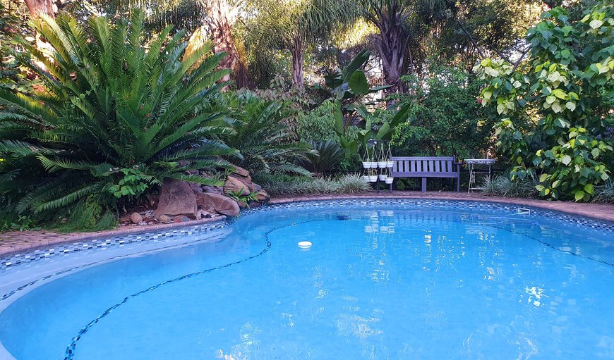 Swimming Pool in Hazyview, Mpumalanga, South Africa
