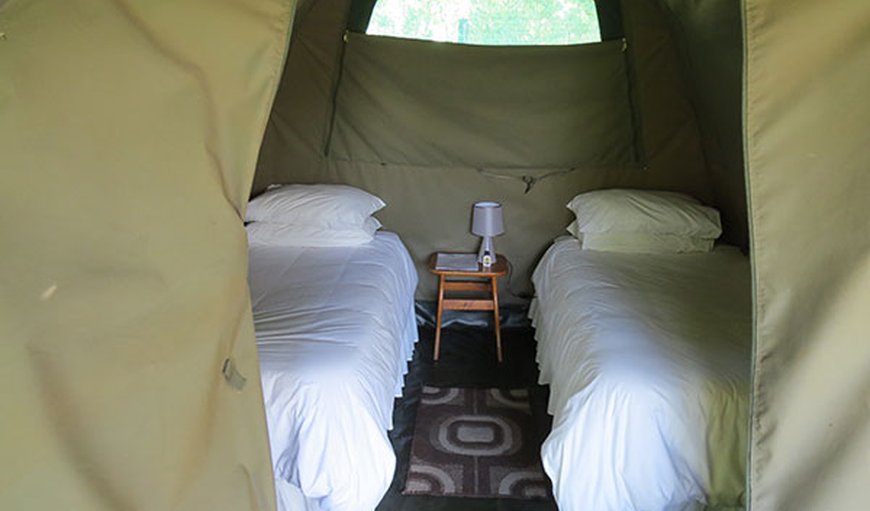 Safari Tents: Safari Tents