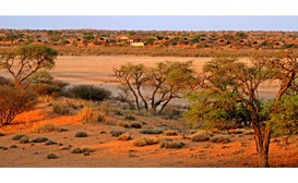 Suricate Kalahari Tented Lodge image