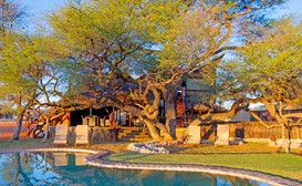 Camelthorn Kalahari Lodge image