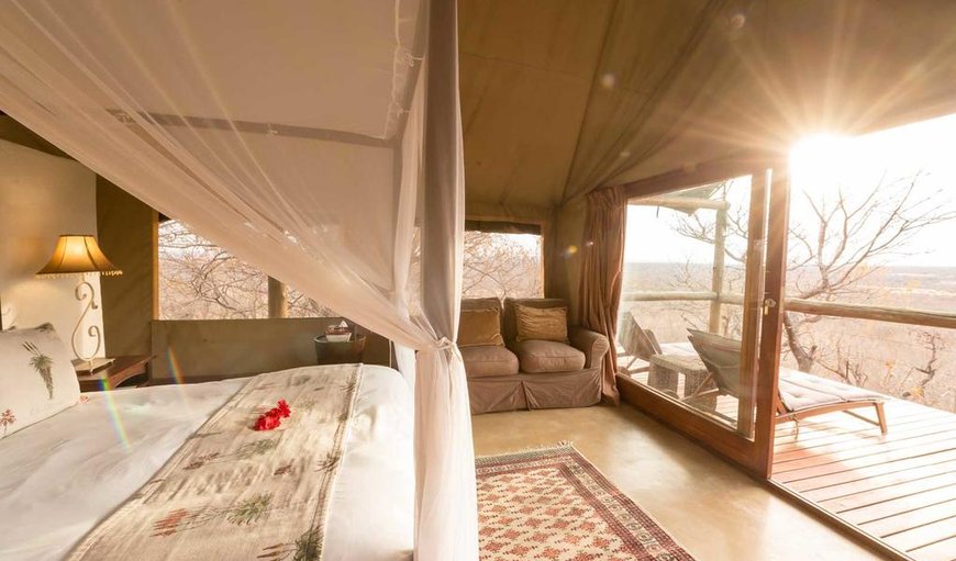 Luxury Safari Style Chalet 1 photo 13