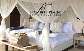 Nambiti Plains Private Game Lodge image