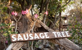 Sausage Tree Safari Camp image