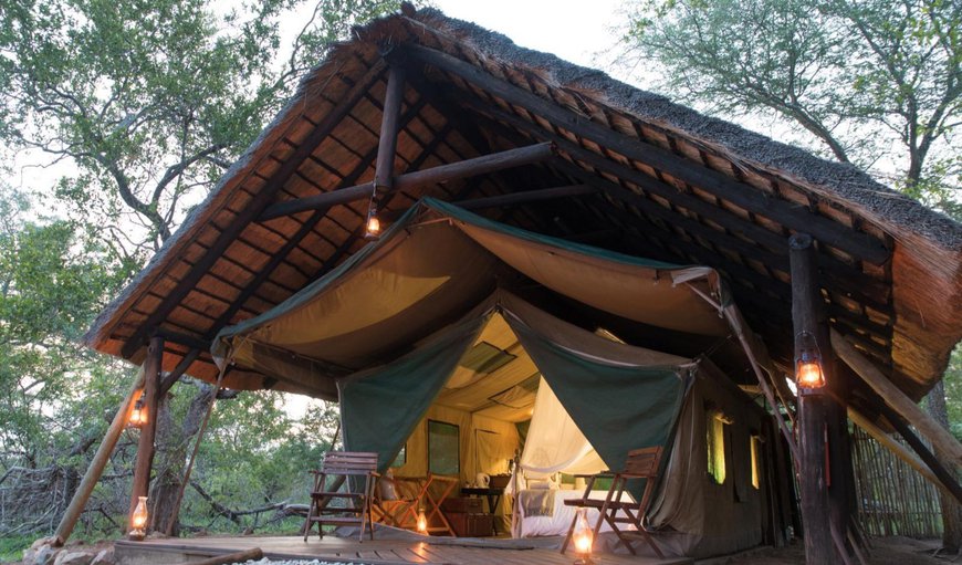 Meru Safari Tent 1: Bed