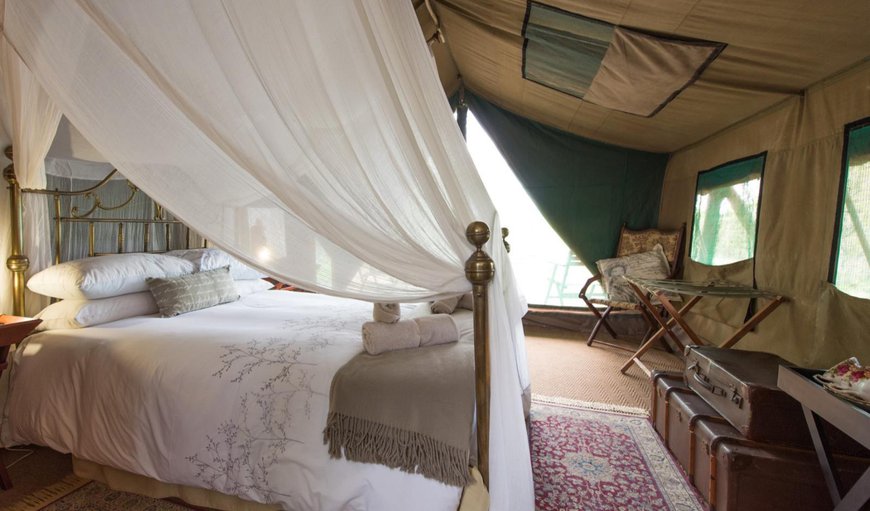 Meru Safari Tent 3  : Photo of the whole room