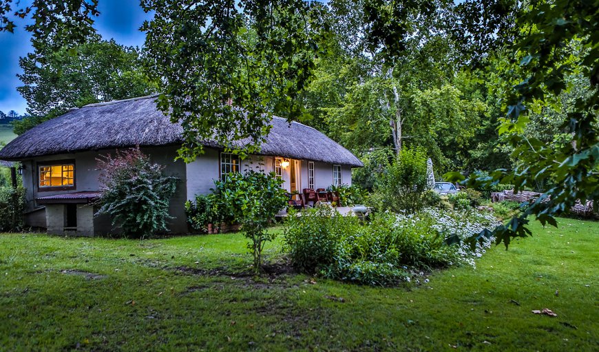 Mangrove Cottage photo 119