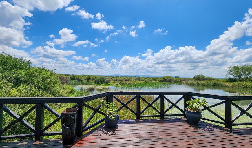 Ditholo Game Lodge in Thabazimbi, Limpopo, South Africa