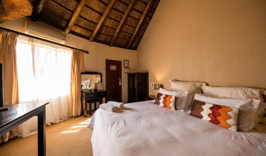 Standard Rooms: Standard Room
