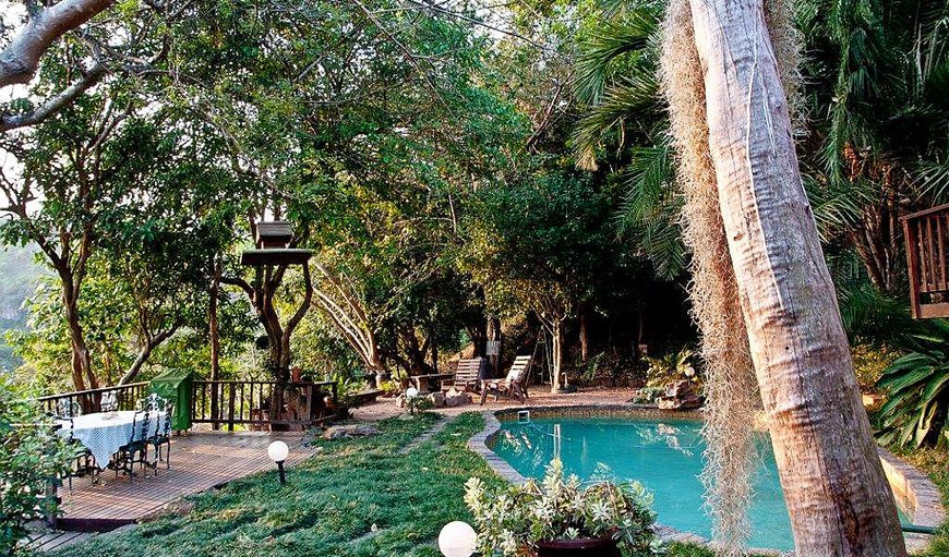 Welcome to Loeriebos Bed and Breakfast in Westville, Durban, KwaZulu-Natal, South Africa