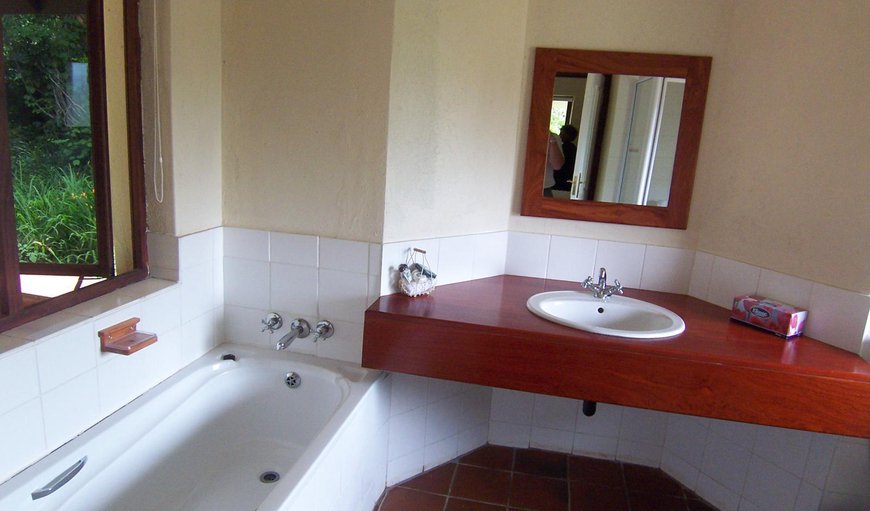 Ibis room: Bathroom