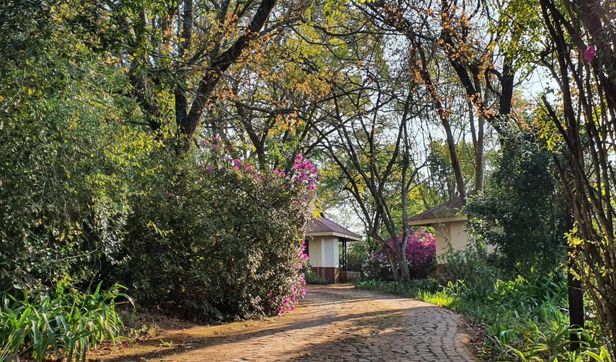 Welcome to Heuglins on Winmarleigh Farm in White River, Mpumalanga, South Africa