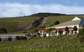 Zevenwacht Wine Estate image