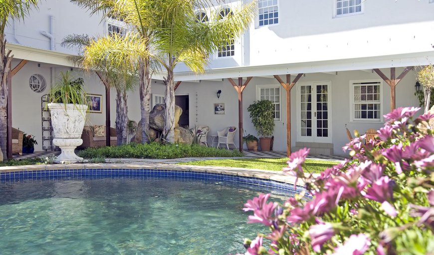 Splash pool in the beautiful garden in Muizenberg, Cape Town, Western Cape, South Africa