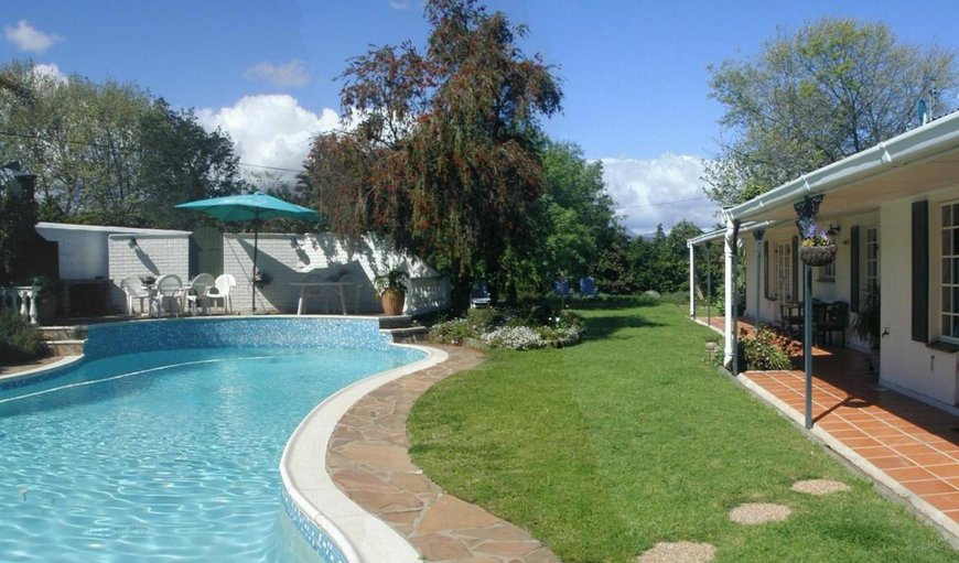 Swimming pool & Garden