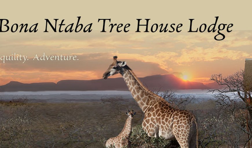 Bona Ntaba Tree House Lodge in Hoedspruit, Limpopo, South Africa