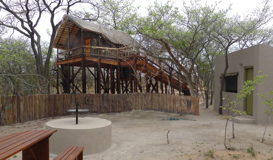 Zebra House with Kitchen and Boma photo 33