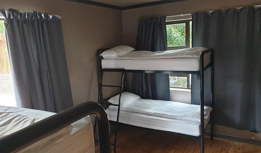 4 Bed Male Dormitory - En suite: Photo of the whole room