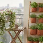 Small Balcony Garden Ideas for Renters: Pots, Weight and Plants