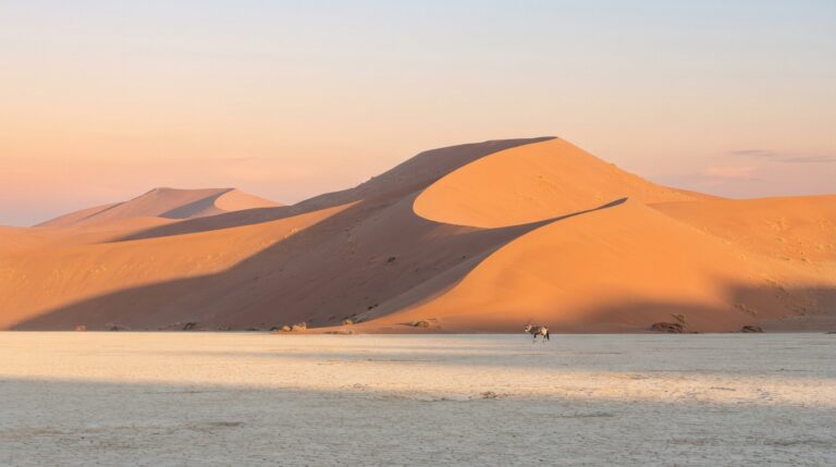 Sossusvlei and the Namib Dunes: When to Go and What to Know