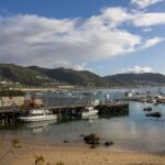 Knysna Holiday Packages for a Gentle Garden Route Escape