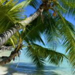 Bora Bora Holiday Packages to a Dream Island Escape.