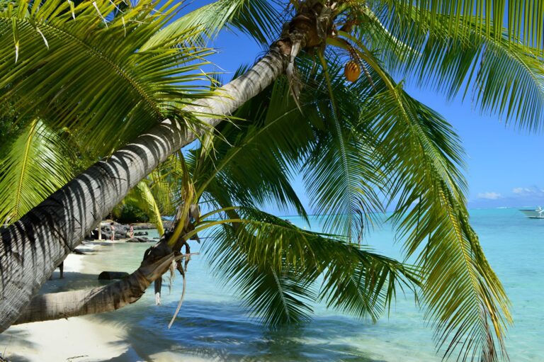 Bora Bora Holiday Packages to a Dream Island Escape.