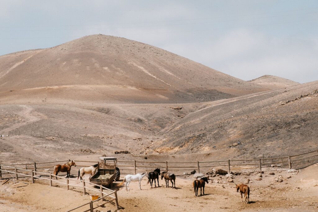 Elena Lanzarote and a Relaxed Island Stay