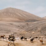 Elena Lanzarote and a Relaxed Island Stay